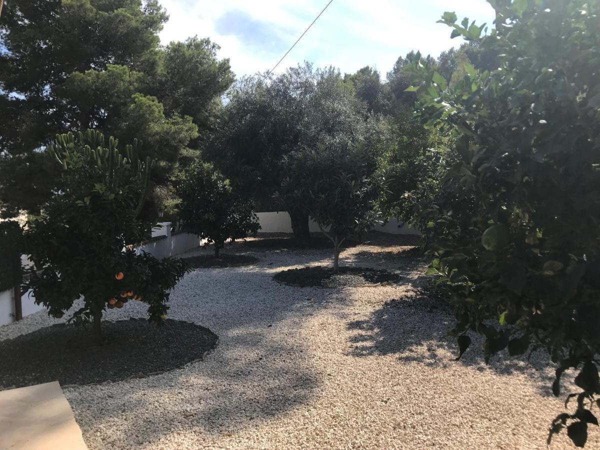 Limon Daire Benissa Dış mekan fotoğraf